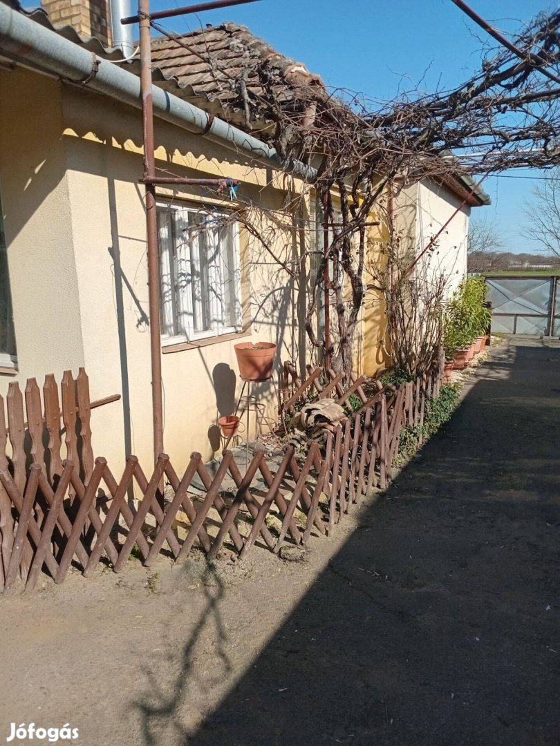 Eladó két különálló ház egy telken Nyíregyháza-Alsópázsit