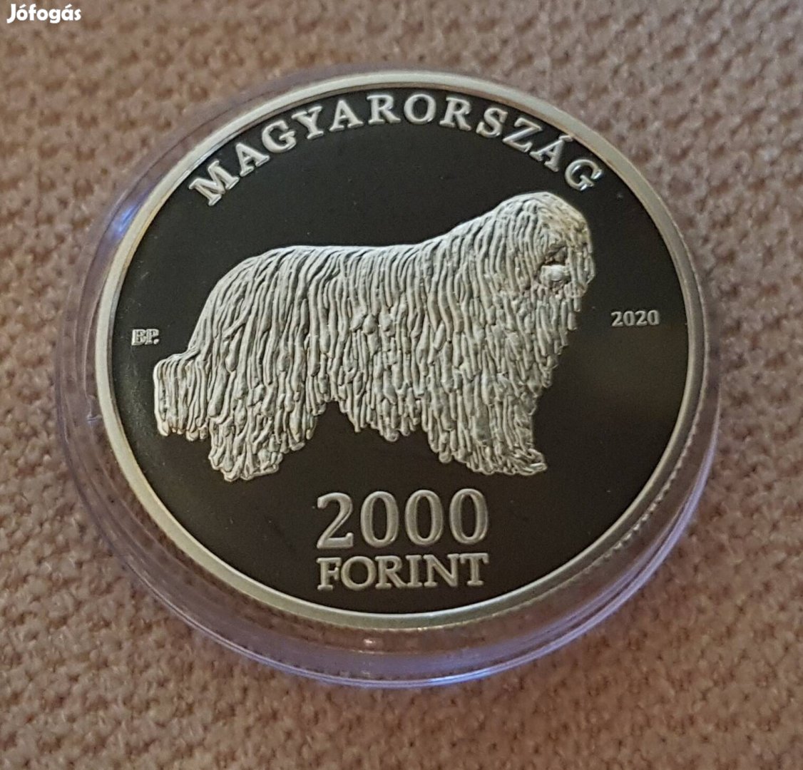 Eladó komondor agár mudi kopó kutya sor unc