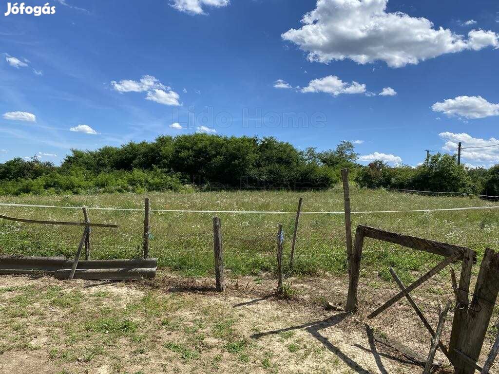 Eladó külterületi telek Bárdudvarnokon!