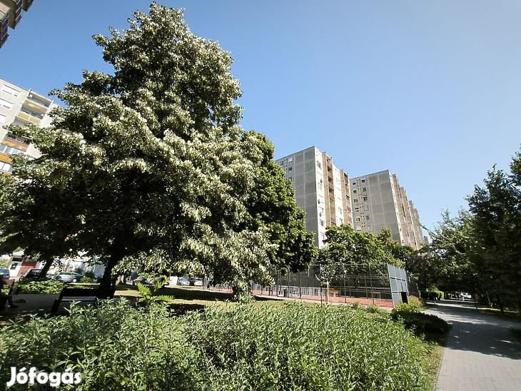 Eladó lakás - Budapest IV. kerület, Újpest