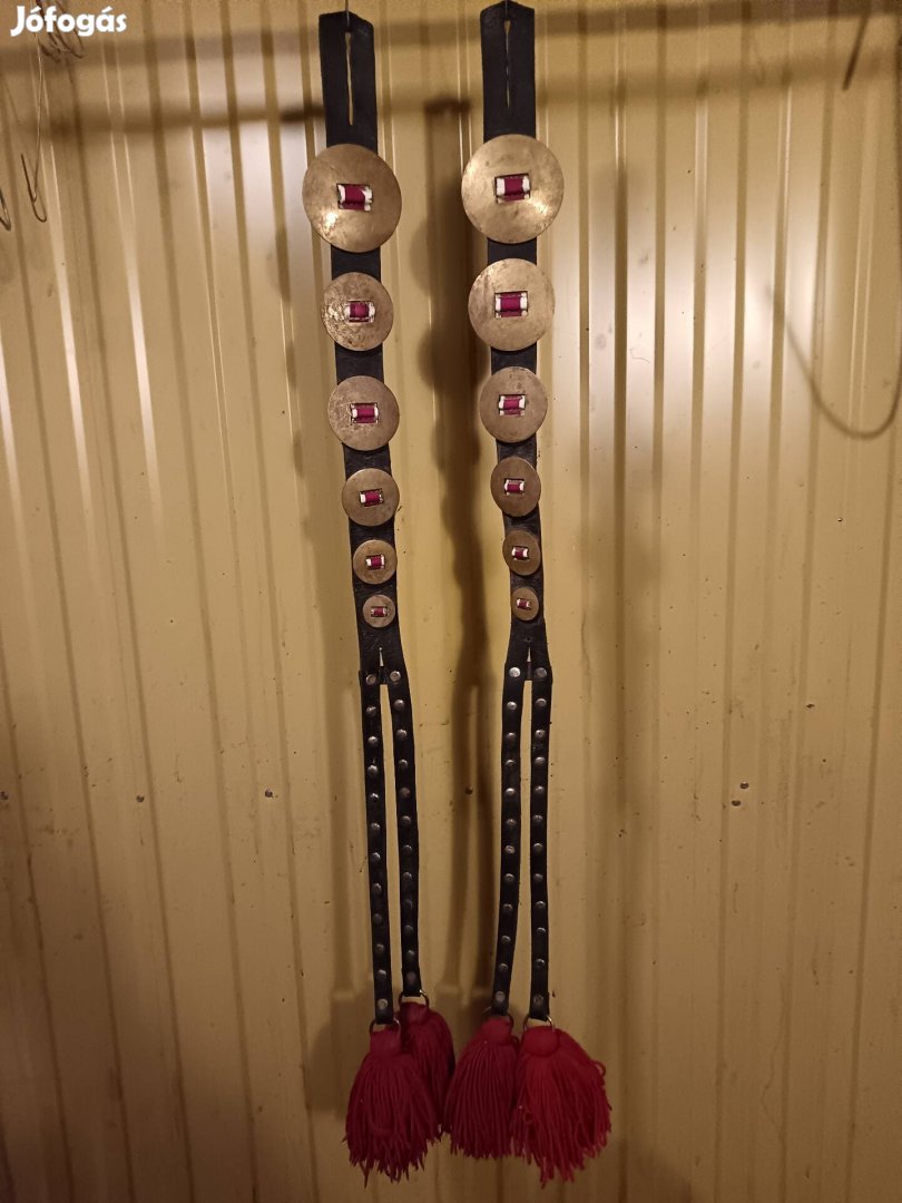 Eladó ló, csikó, rezes sallang.