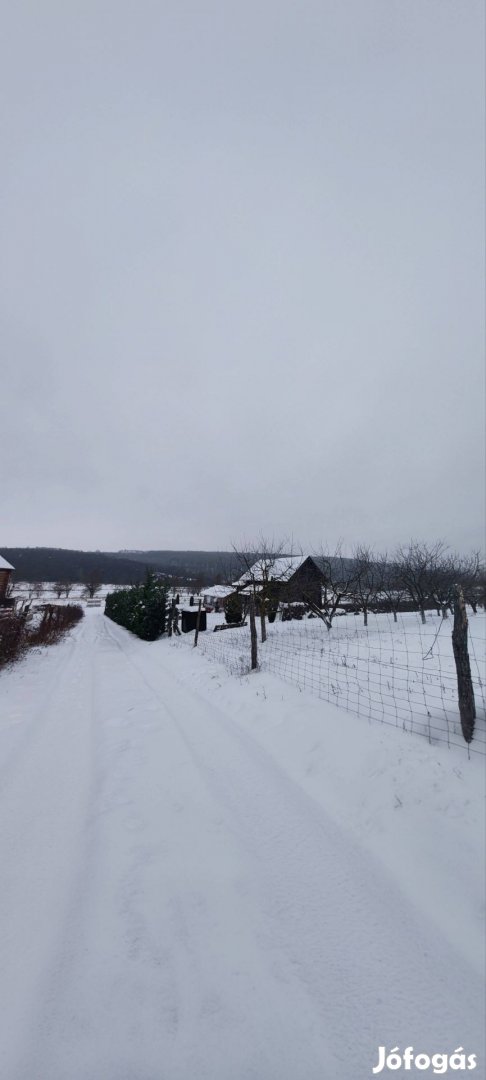 Eladó mezőgazdasági, Alsópetény Alsópetény, 58900000 Ft,