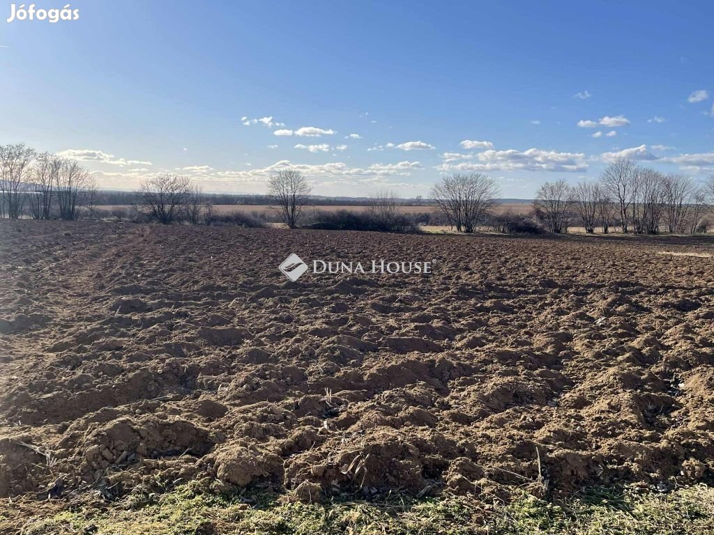 Eladó mezőgazdasági, Hásságy