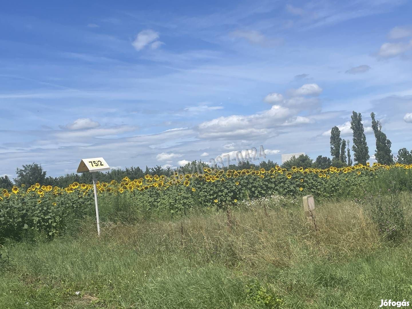 Eladó mezőgazdasági, Székesfehérvár Déli ipari zóna, 59000000 Ft 24_rd