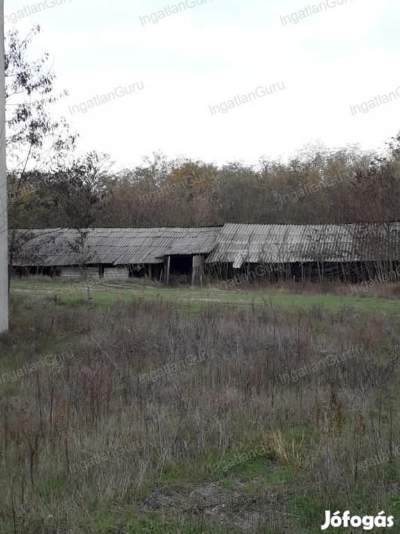 Eladó mezőgazdasági ingatlan Lajosmizse, Alsólajos tanya
