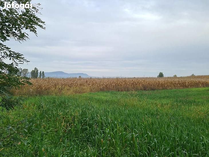 Eladó mezőgazdasági ingatlan - Dunakeszi