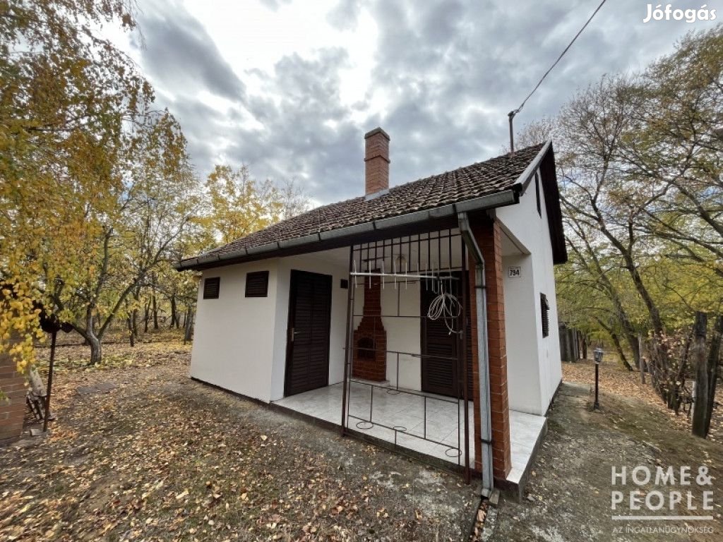 Eladó nyaraló Csongrádon!