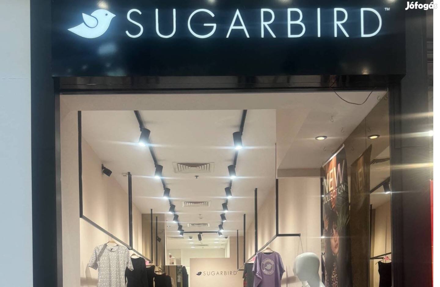 Eladó nyíregyházi Sugarbird üzlet franchise joga!!