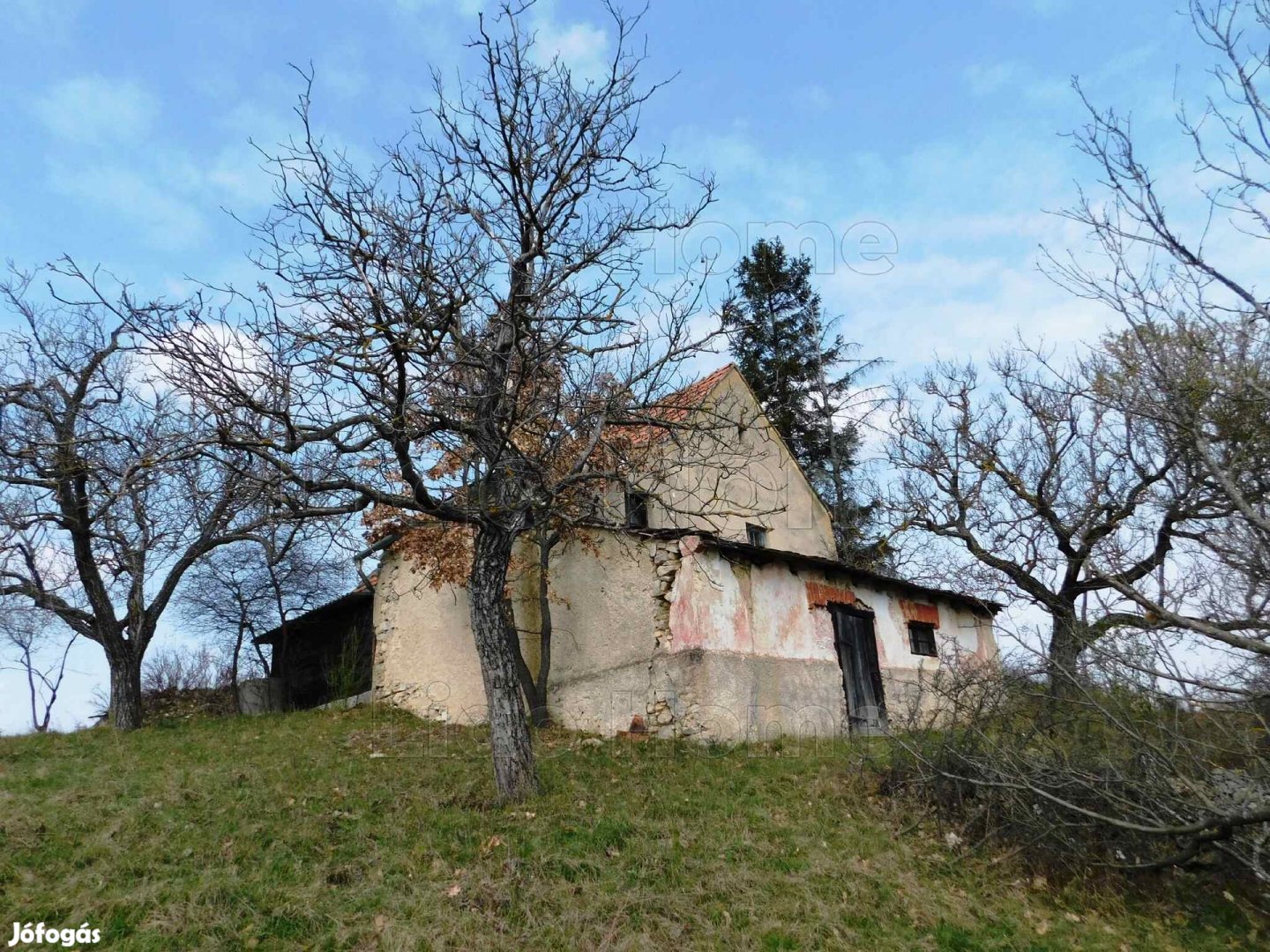 Eladó panorámás présház és pince Pécselyen