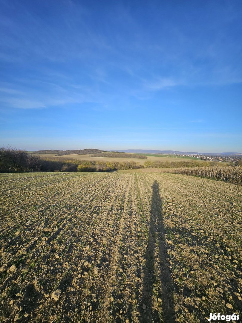 Eladó panorámás telek Környén, zöld övezetben