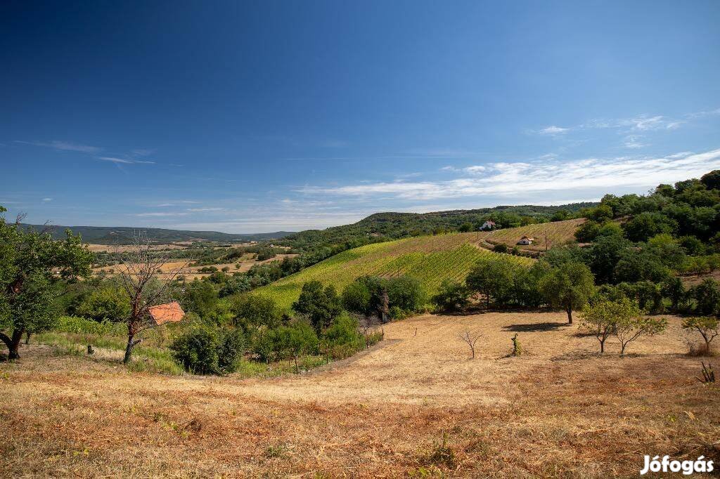 Eladó panorámás zárkerti telek a Csobánc lábánál