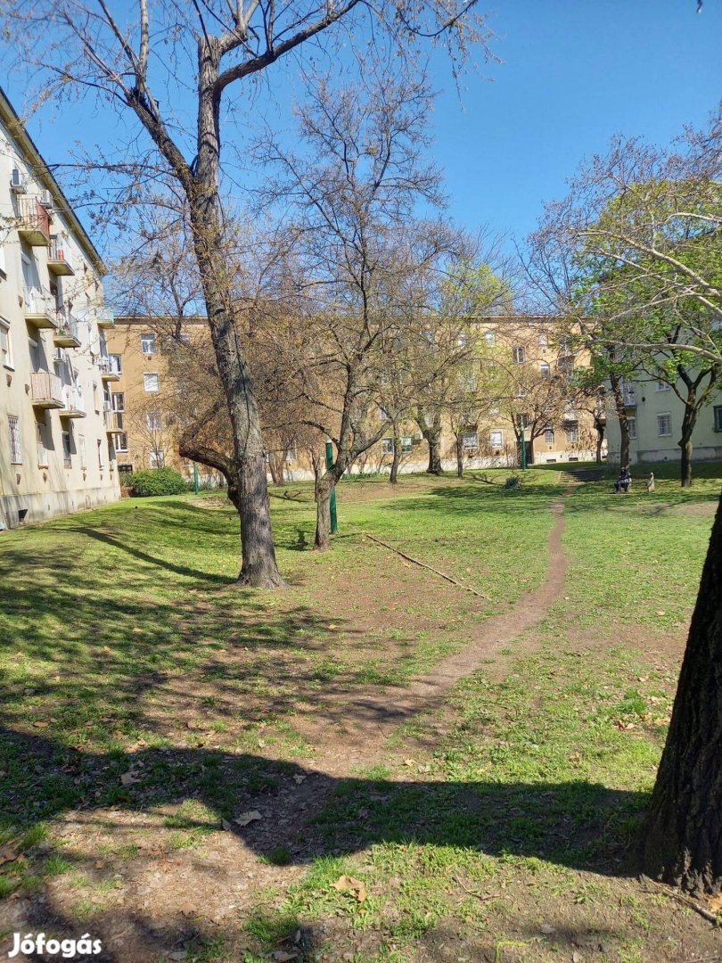 Eladó parkra nező 37m2 es lakás a Szárnyas utcaban