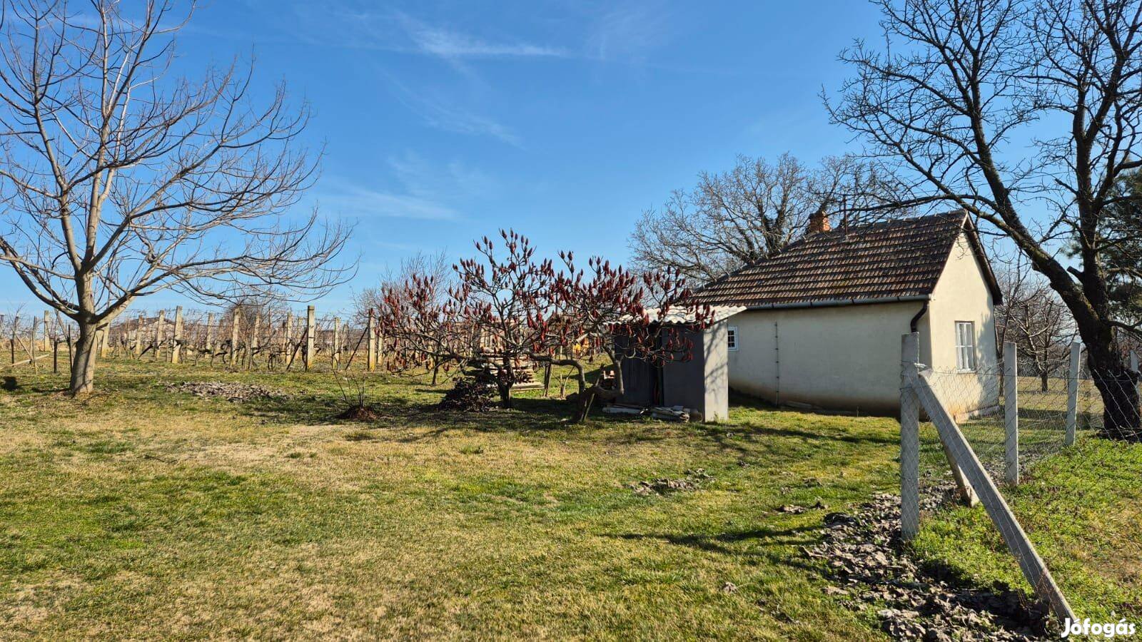 Eladó pince, présház