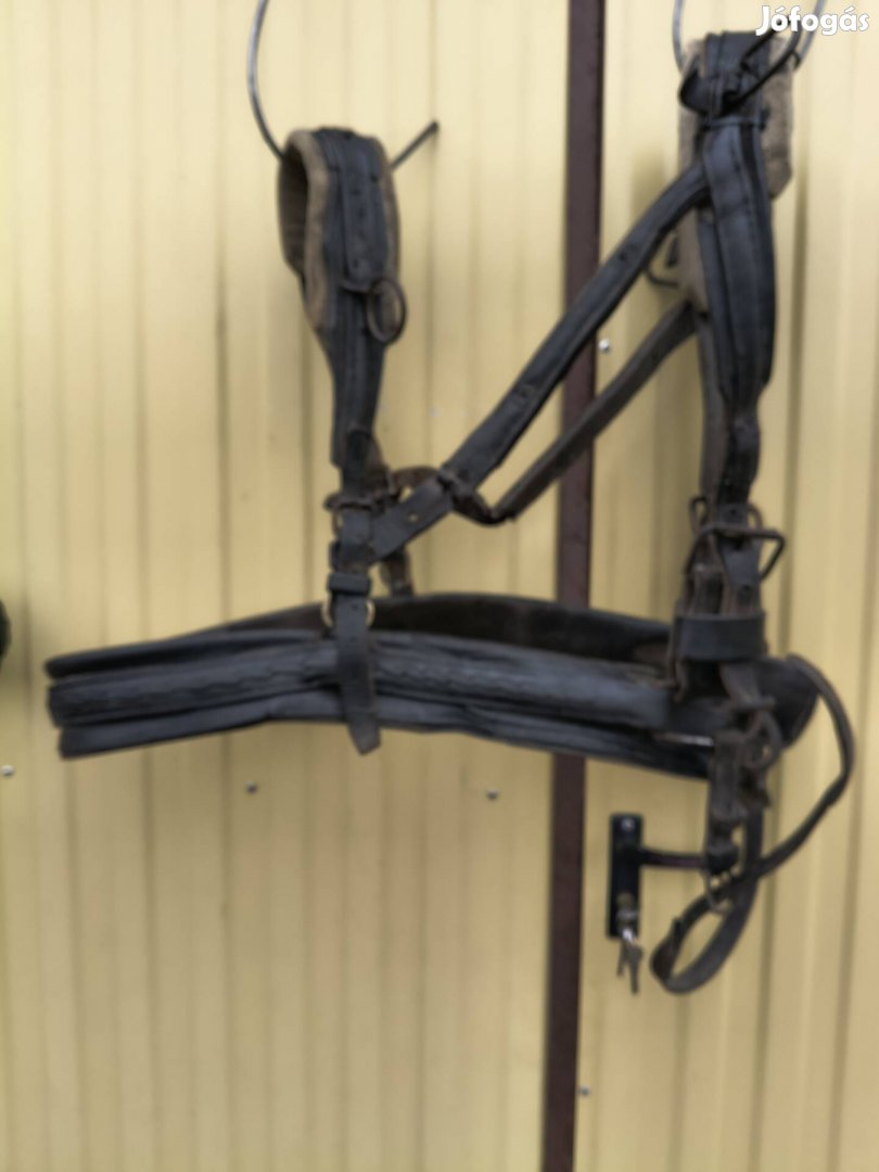 Eladó póni ló, hám