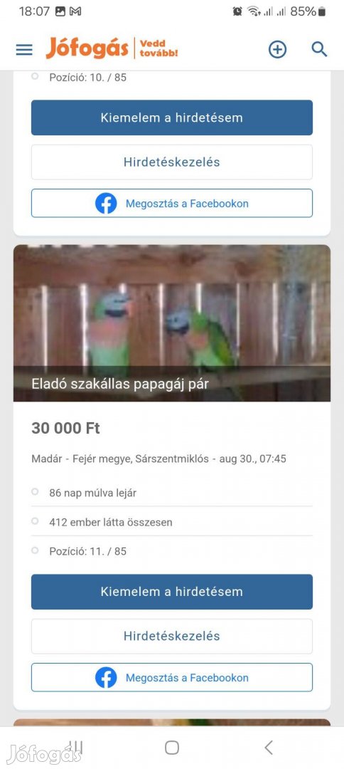 Eladó szakállas pár