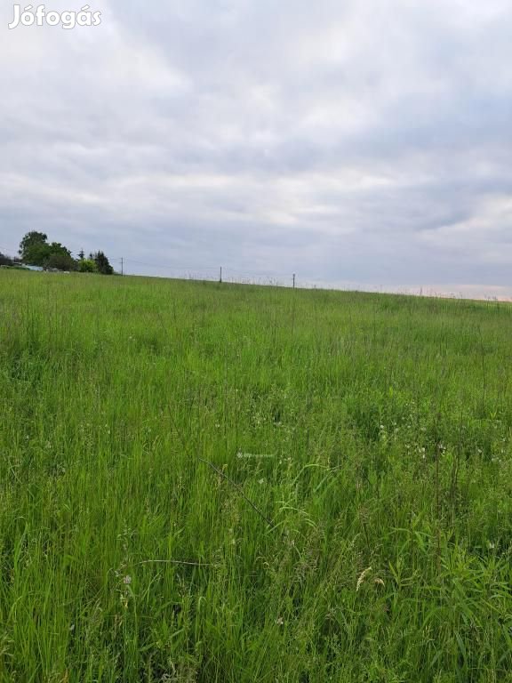 Eladó szántó, mezőgazdasági, Környe