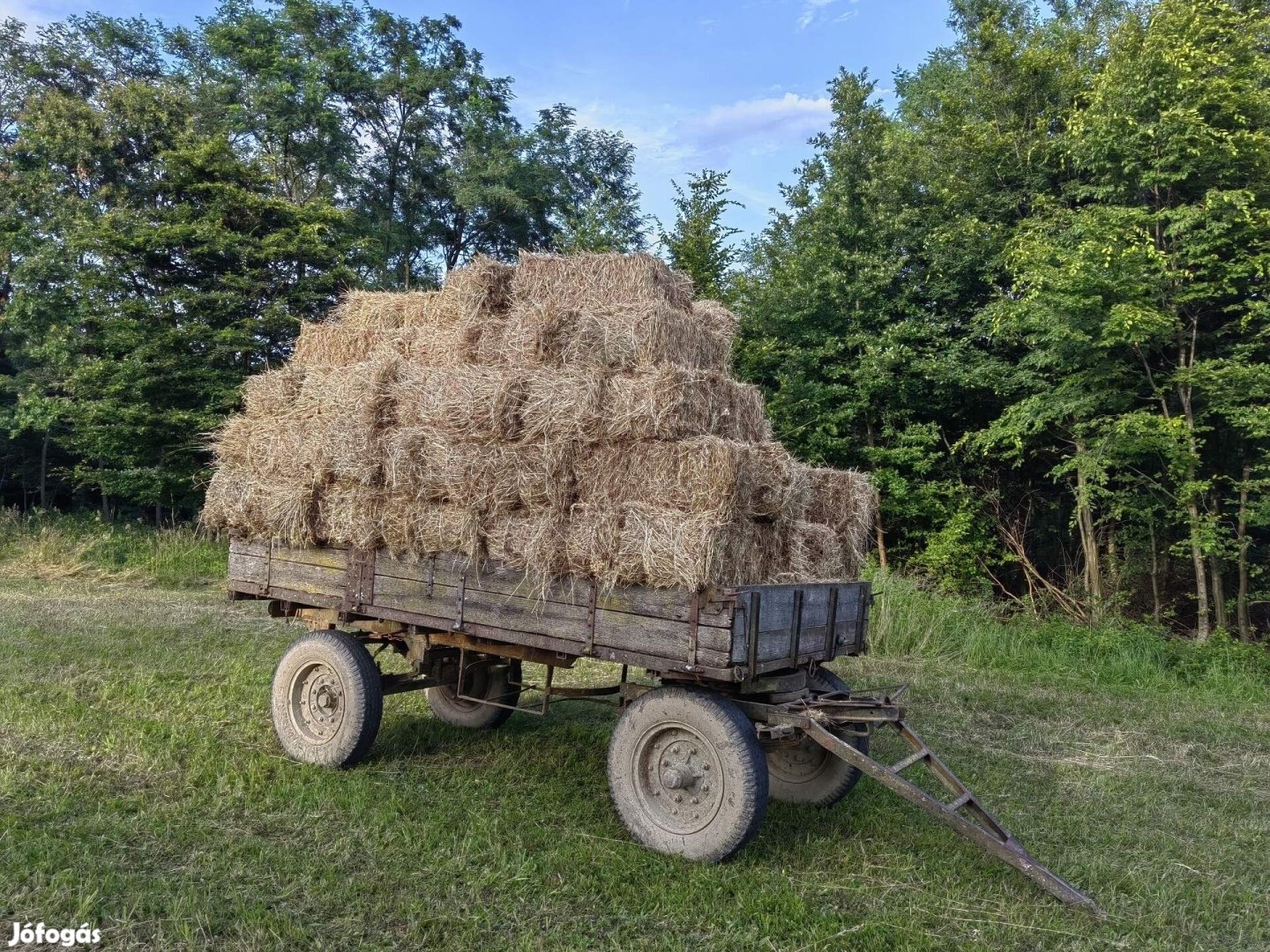 Eladó széna kiskocka bála 