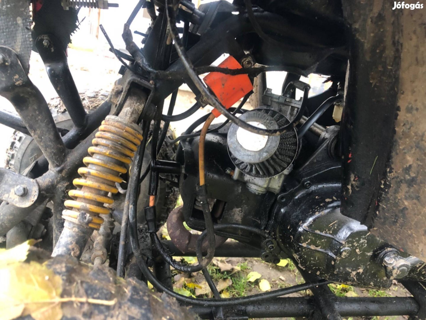 Eladó szeretett Qvadom