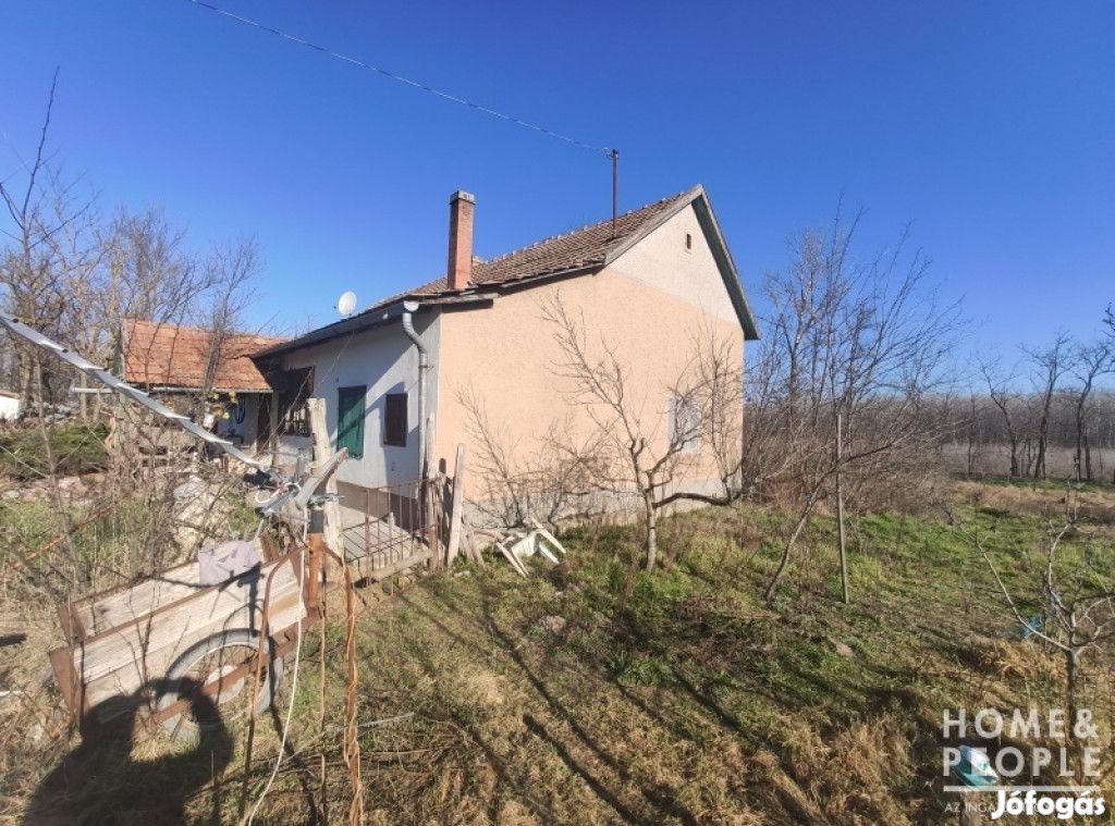 Eladó tanya Ópusztaszeren!