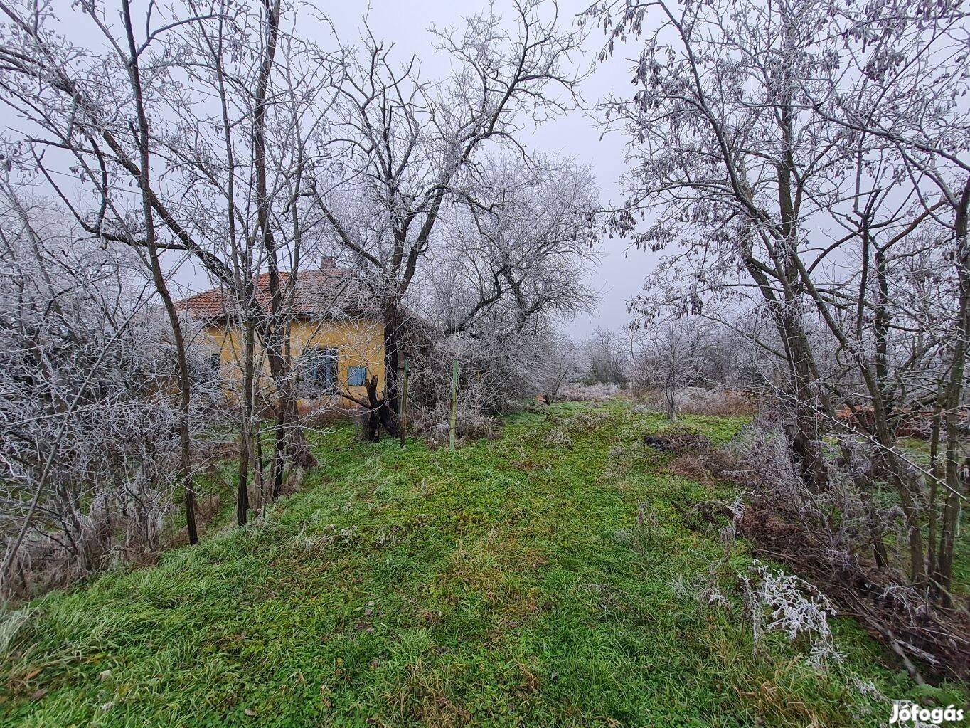 Eladó tanya Tiszavárkony