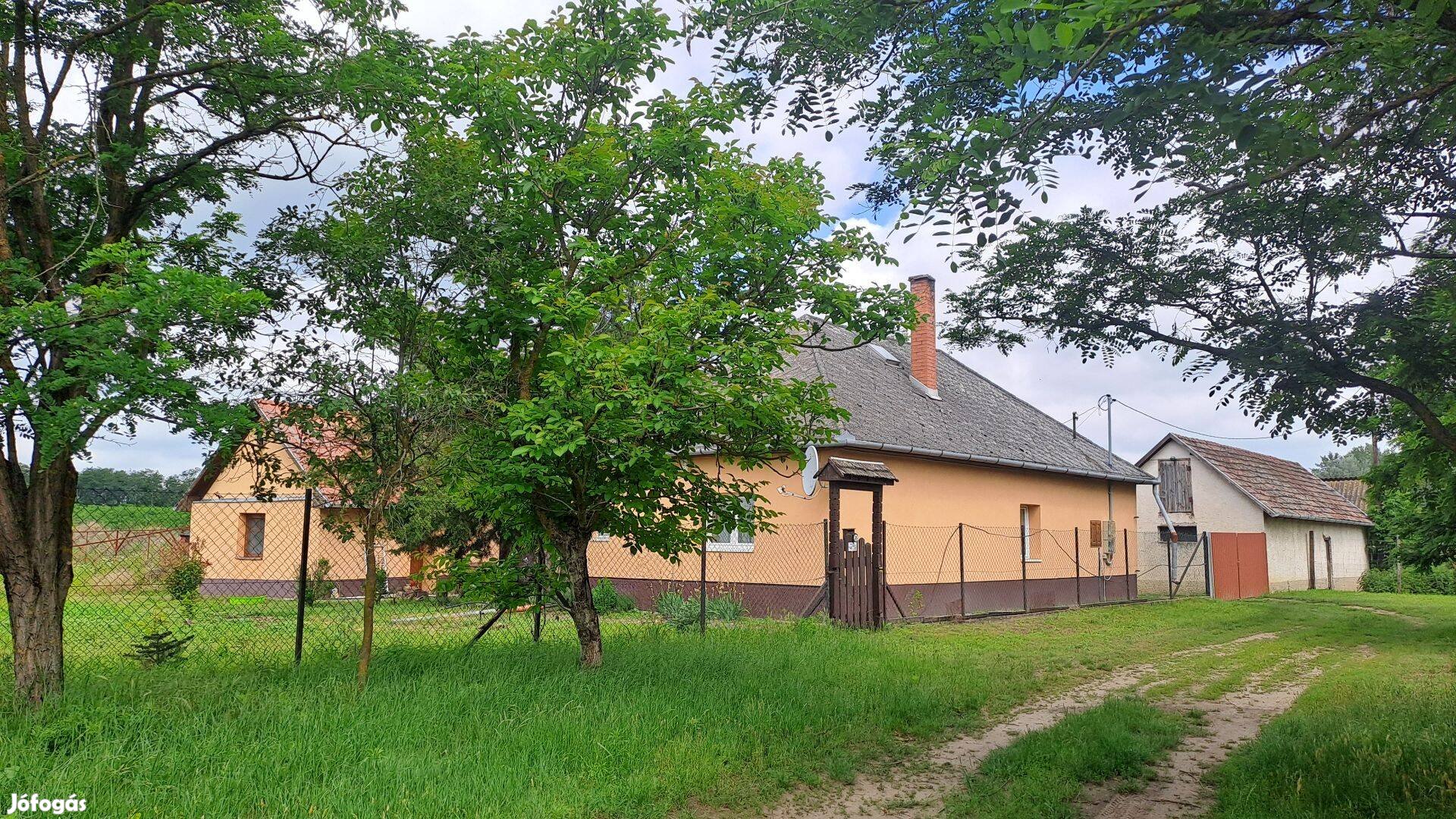 Eladó tanya a Nagycserei erdőben