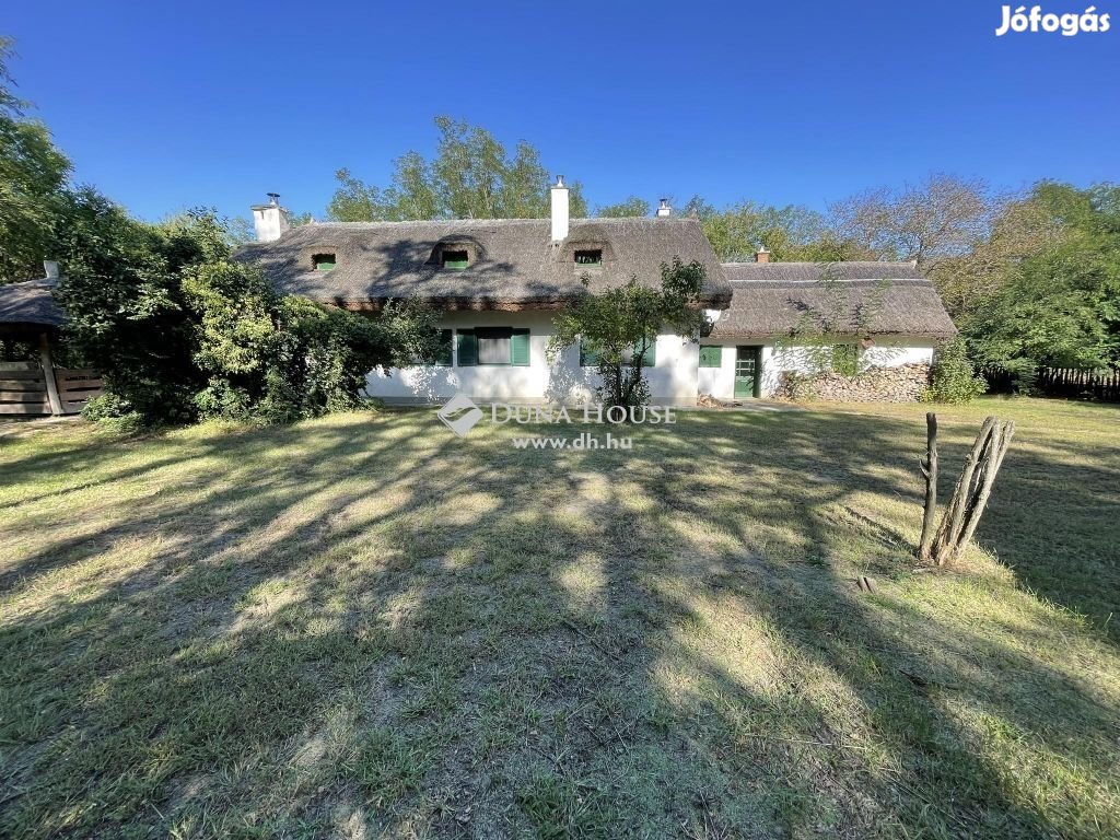 Eladó tanyabirtok, Ladánybene