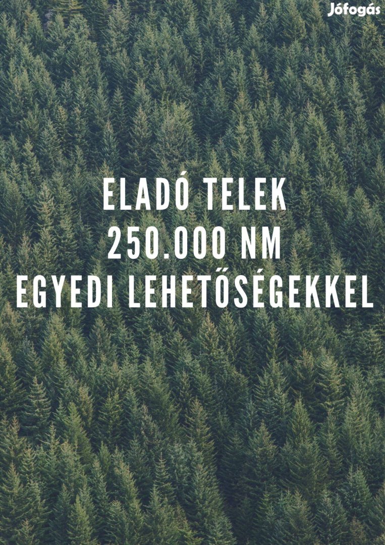 Eladó telek 3.75 milliárd forint