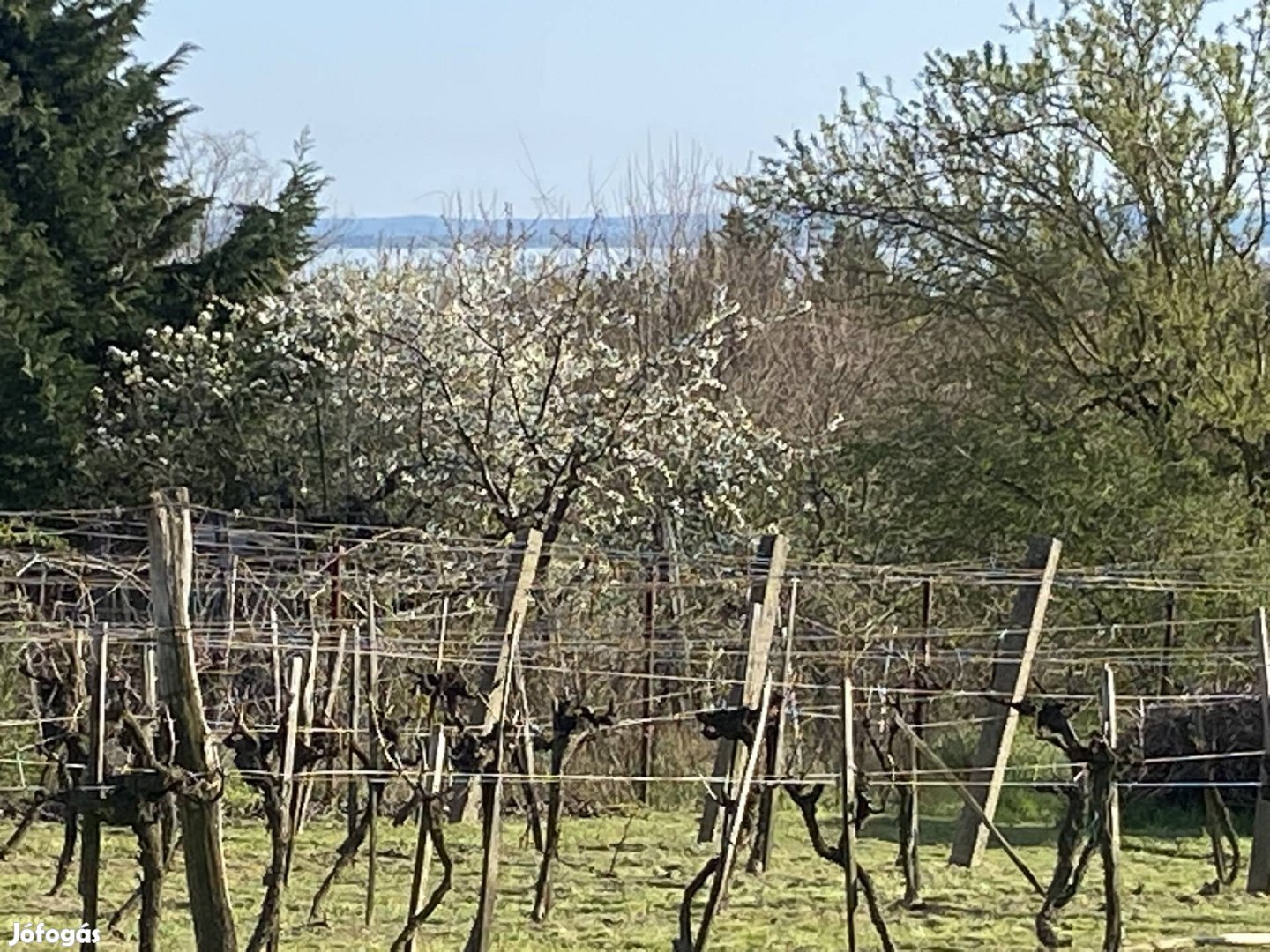 Eladó telek Balatonkenese Öreghegy
