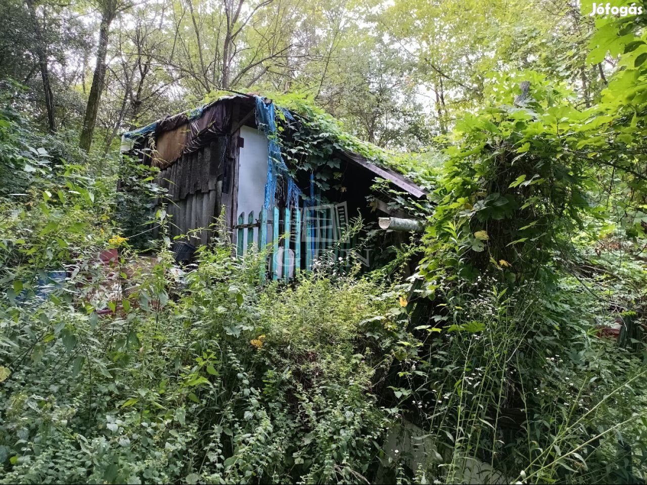 Eladó telek Isaszeg, Öreghegy- zártkert