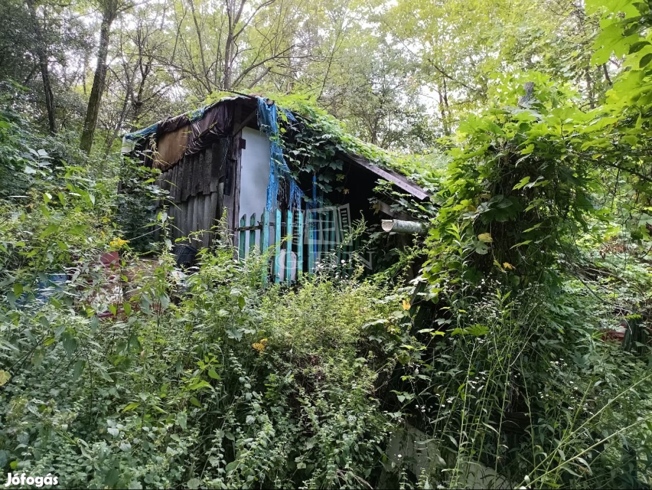 Eladó telek Isaszeg, Öreghegy- zártkert