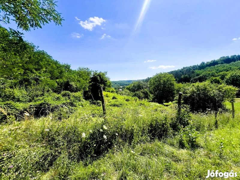 Eladó telek Orfű- Tekeresen