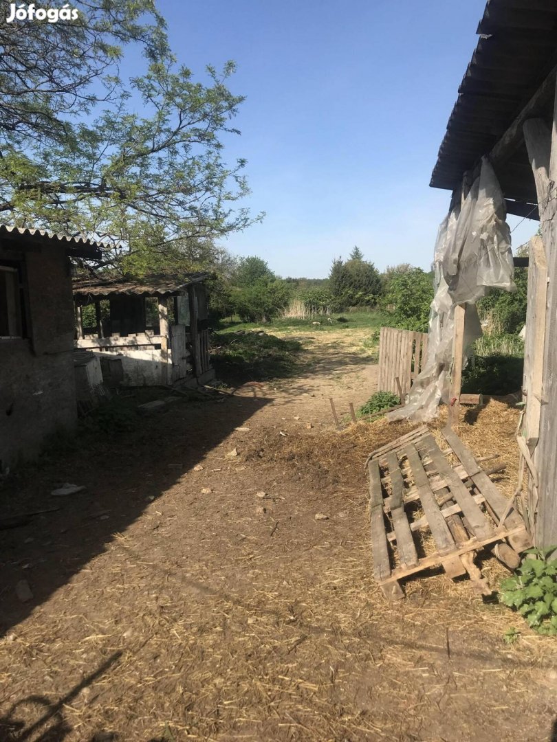 Eladó telek Pápán az öreghegyben