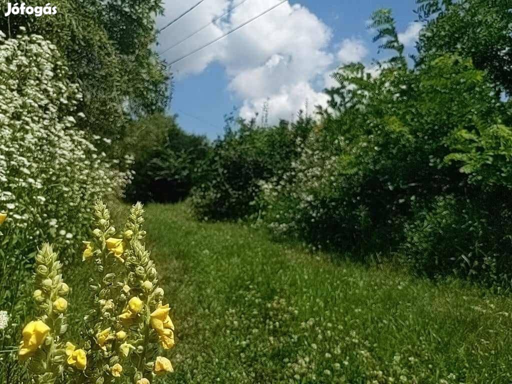 Eladó telek Sukorón, Velencei-tónál