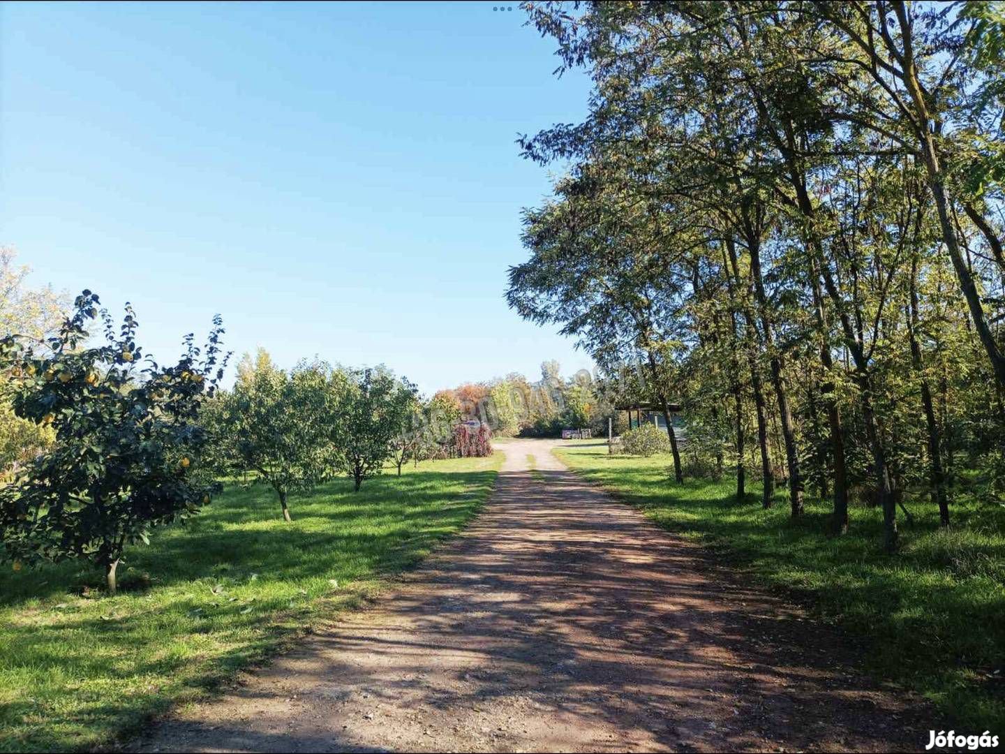 Eladó telek, Békéscsaba Erzsébethely, Hajnóczy utca, 32500000 F 331_ph