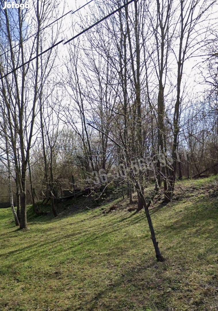 Eladó telek, Borsosberény Borsosberény, Petőfi utca, 4700000 F 100_nog