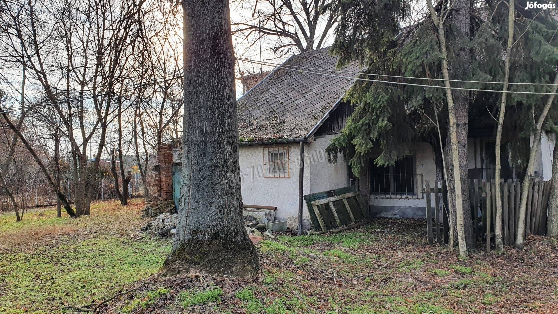 Eladó telek, Budapest, 16. kerület  Cinkota, Szabadföld út, 600 513_jd