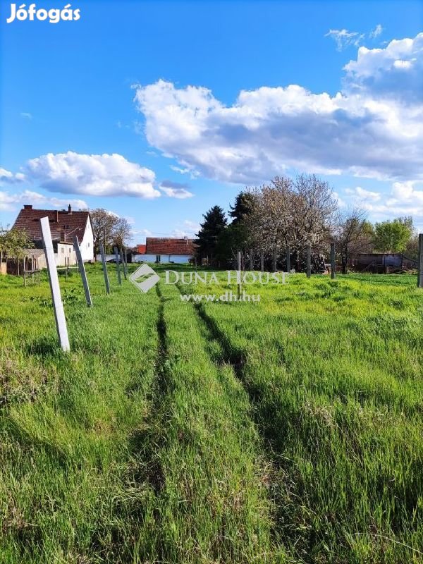 Eladó telek, Csávoly