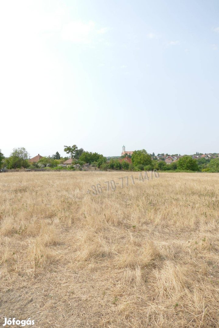 Eladó telek, Ercsi Tótlik, Csokonai utca, 79900000 Ft, 8496
