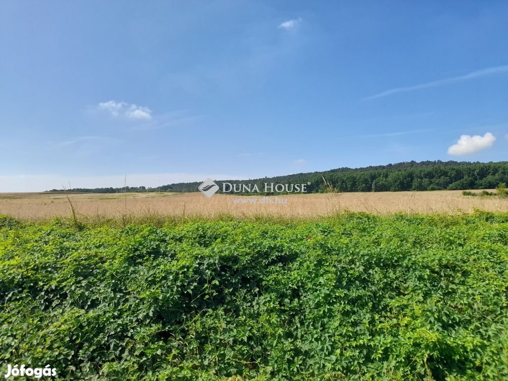 Eladó telek, Isaszeg