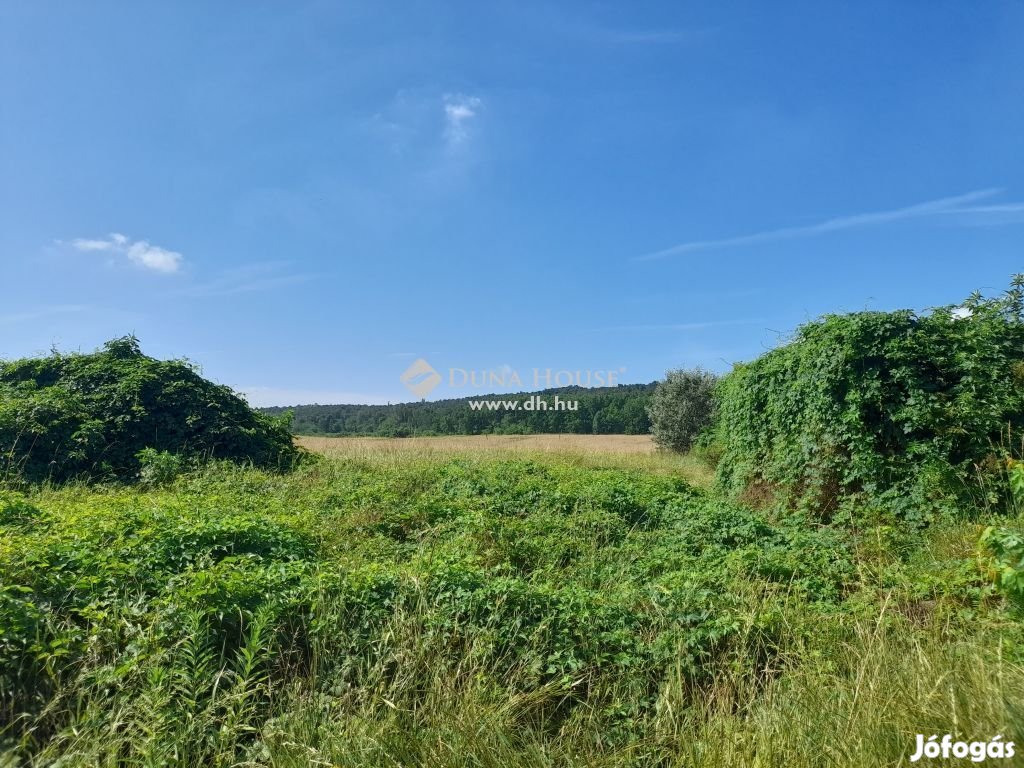 Eladó telek, Isaszeg