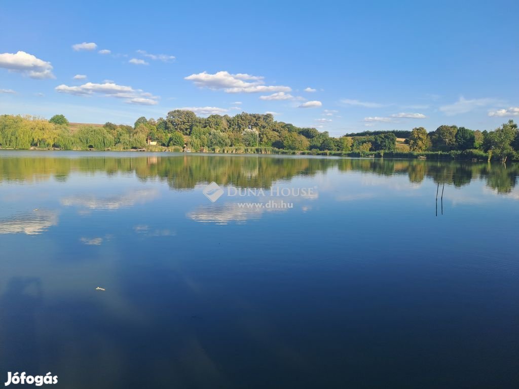 Eladó telek, Kacsóta