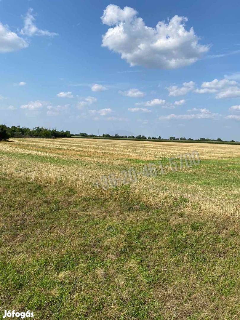 Eladó telek, Mezőörs Mindszentpuszta, 18900000 Ft, 1774 nm