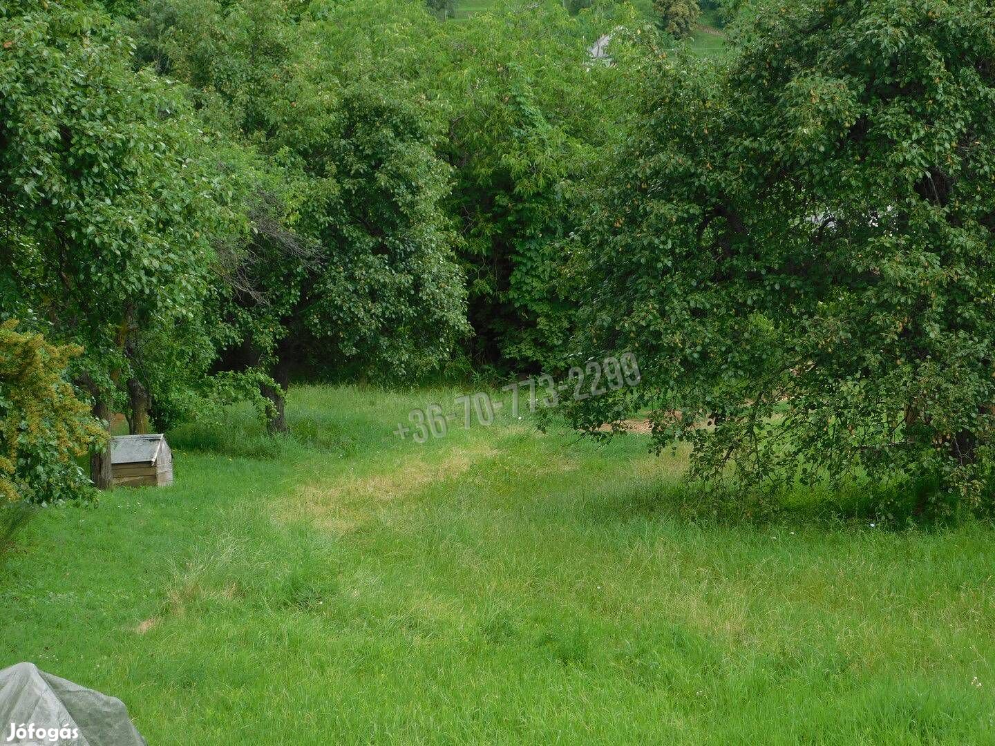 Előnézeti kép