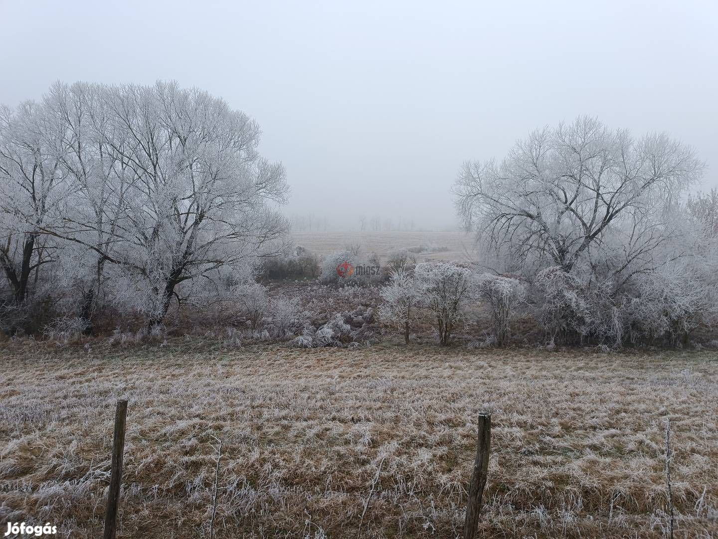 Eladó telek, Őrbottyán, 98000000 Ft, 100000 nm 13430_bhv