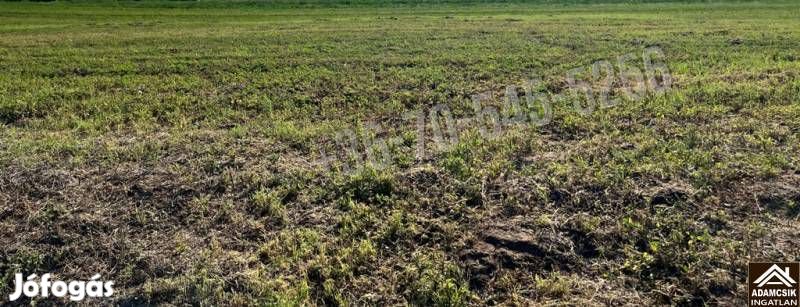 Eladó telek, Örkény Örkény, 3500000 Ft, 4214 nm