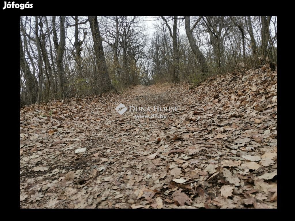 Eladó telek, Pécs legmagasabban fekvő építési telke!