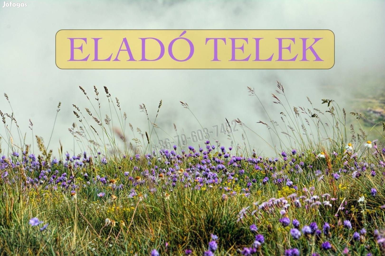 Eladó telek, Sződ Sződ, 5900000 Ft, 4924 nm 16140_bh