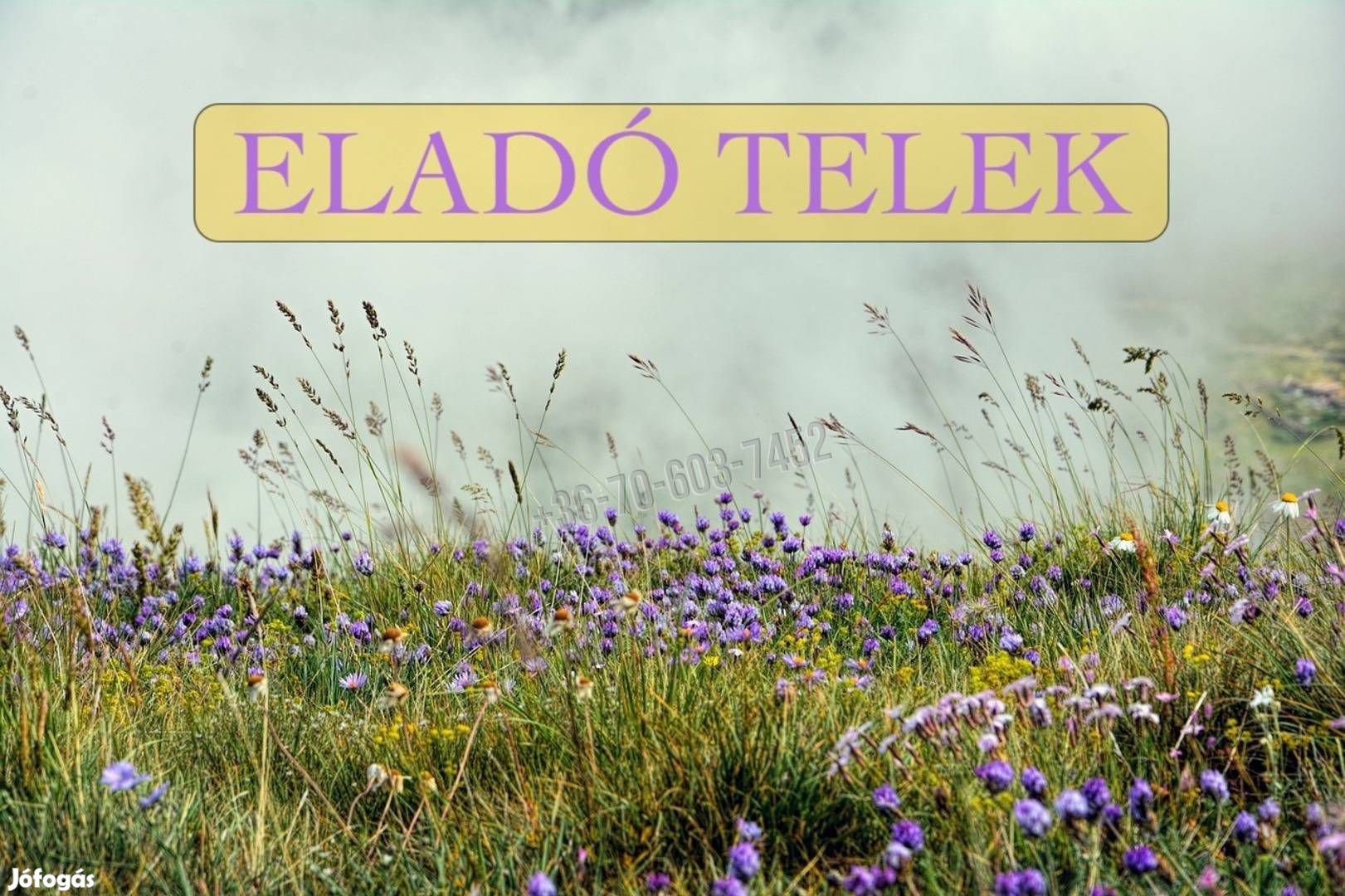 Eladó telek, Sződ Sződ, 9900000 Ft, 7187 nm 16141_bh