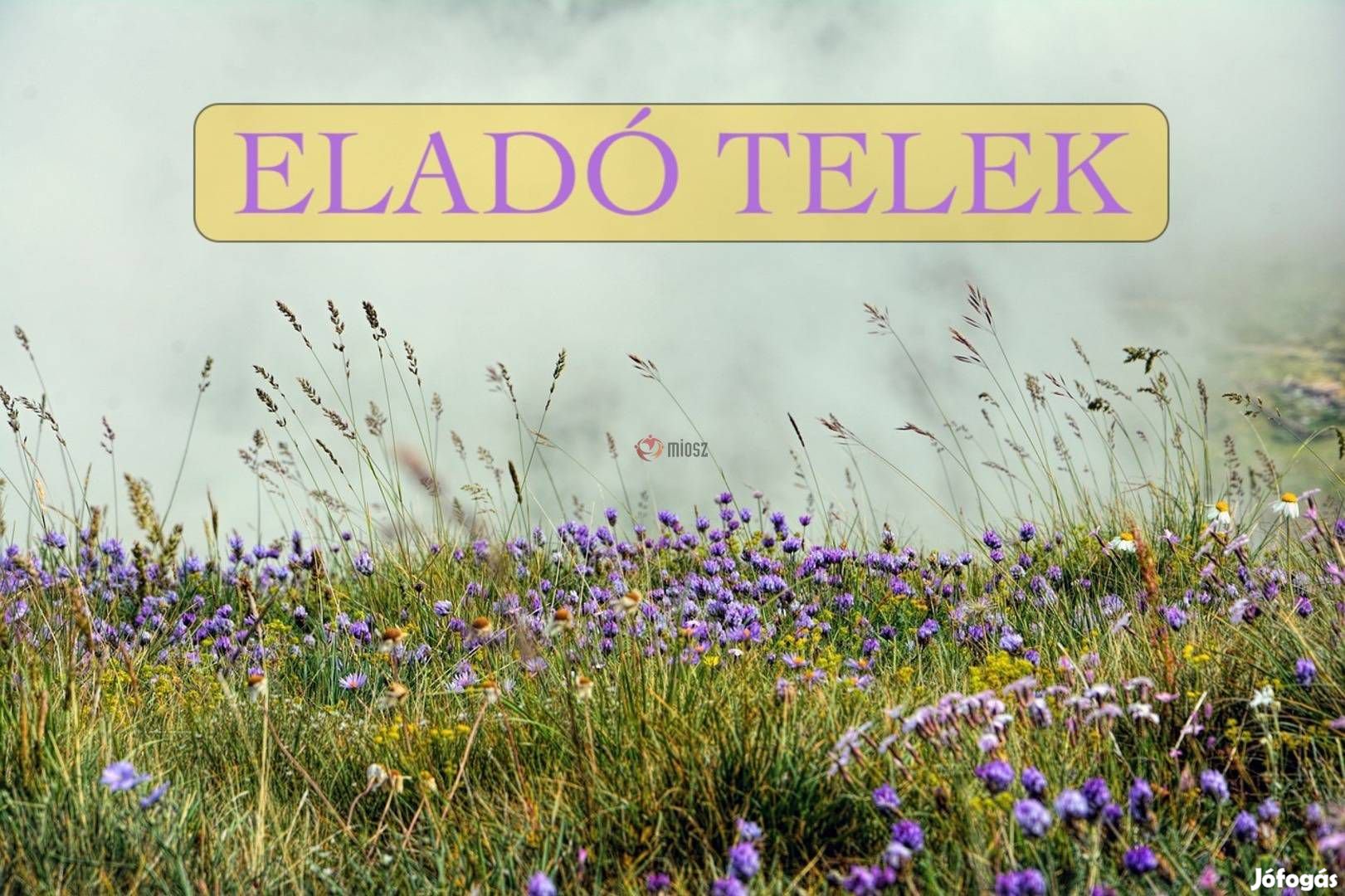 Eladó telek, Sződliget Sződliget, 58900000 Ft, 900 nm 13450_bhv