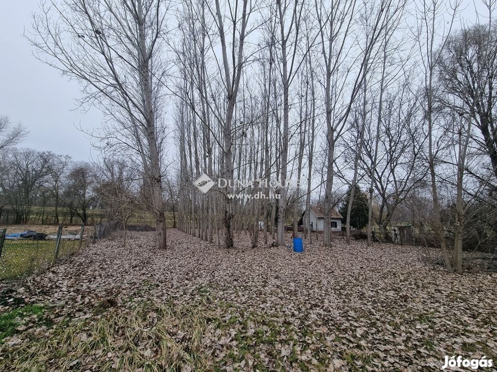 Eladó telek, Tiszaug